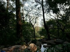 android_upload_pic-晓港公园