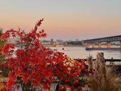 -汉水谣·江景餐厅(江滩店)