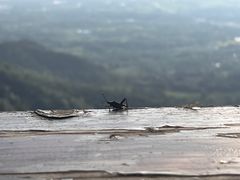 -敬亭山风景名胜区