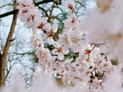 -海棠花溪(元大都城垣遗址公园)