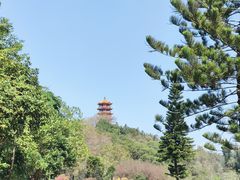 -深圳市中科院仙湖植物园