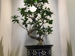 -钰田大院·怀柔地道农家菜·烤虹鳟鱼(雁栖湖店)
