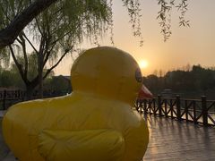 -自然谷恐龙园