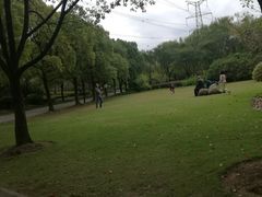 -颐景园