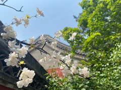 -潭柘寺景区