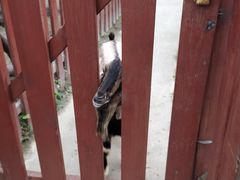-国色天乡三期陆地乐园