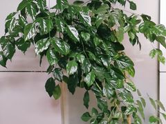 -扬州瘦西湖汇金酒店