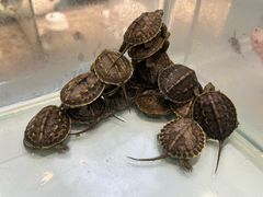 -万达广场(南京江宁店)