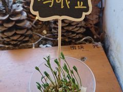 -饵块食光·云南有机手作饵块