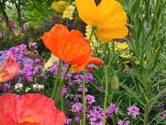 -上海共青森林公园