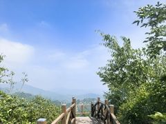-大岭沟猕猴桃谷风景区