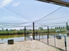 -盐城丹顶鹤湿地生态旅游区