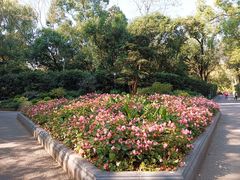 -中山公园