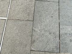 -探鱼·鲜青椒爽麻烤鱼(北京路天河城店)