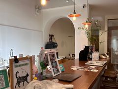 -有猫主题·治愈系猫咖(曾厝垵店)