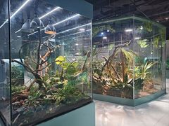-上海大自然野生昆虫馆(东方明珠·爬宠昆虫探索中心)