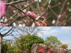 -广州莲花山旅游区
