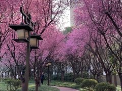 -木塔寺遗址生态公园