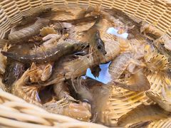 -冀粤香海鲜自助餐厅(西美五洲店)