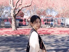 -墨尔本皇家植物园