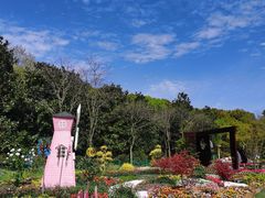 -上海共青森林公园