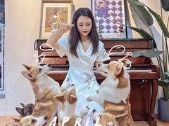 -柯斗斗主题餐厅·狗咖·围炉煮茶·茶饮(国瑞升平里店)