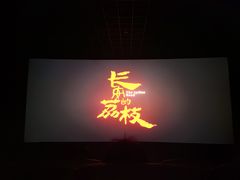 -万达影城(闵行颛桥万达广场杜比影院店)