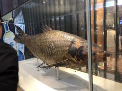 -得尔乐大酒店(南塘店)
