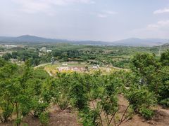 -密云玫瑰情园