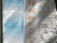 -梧桐山风景名胜区