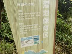 -华侨城湿地公园