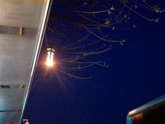 -华莱士·全鸡汉堡(济南大明湖店)