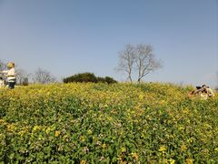 -苏州上方山国家森林公园