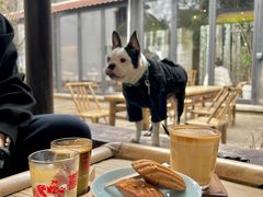 -Metal hands·铁手咖啡