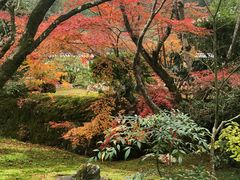 -西芳寺(苔寺)