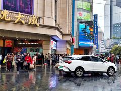-沈大成(南京东路店)