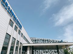 -首都医科大学附属北京天坛医院