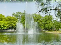 -上海共青森林公园