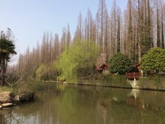 怡沁园度假村-上海怡沁园度假酒店