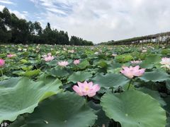 -润记农家菜