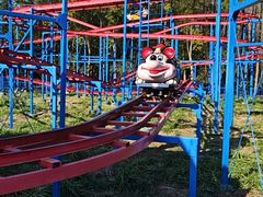 -上海滨江森林公园