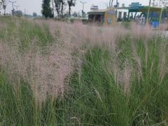 -中国天府农业博览园