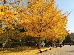 -晋祠公园