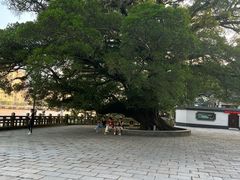 -江心屿景区