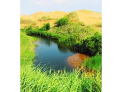 -恩格贝生态旅游区