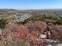 -北京西山国家森林公园