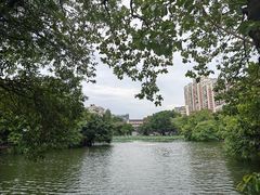 -荔湾湖公园