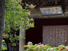 -窦大夫祠
