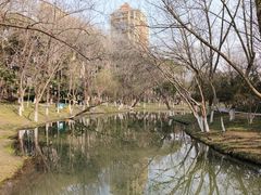 -青枫公园