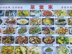 -菜当家